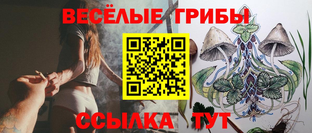 Псилоцибиновые грибы MAGIC MUSHROOMS  Вход с VPN  Уссурийск 