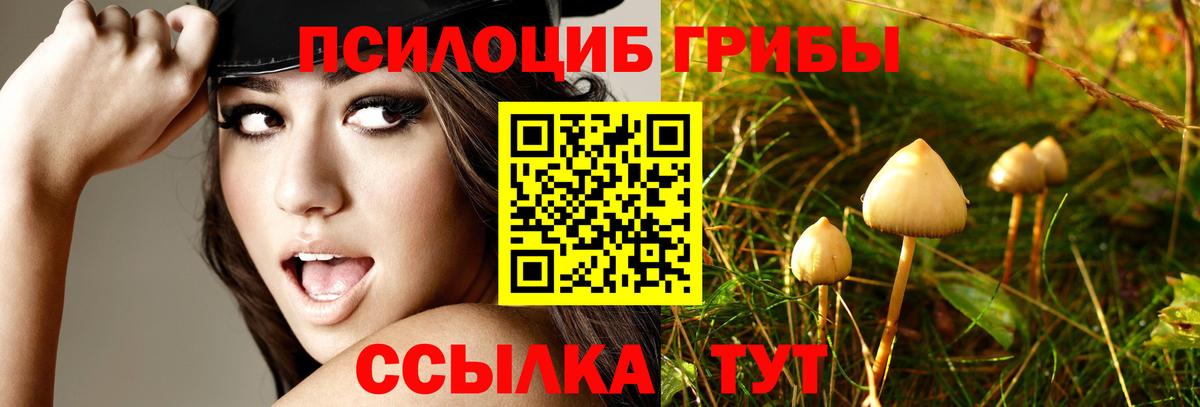 Псилоцибиновые грибы Magic Shrooms Уссурийск
